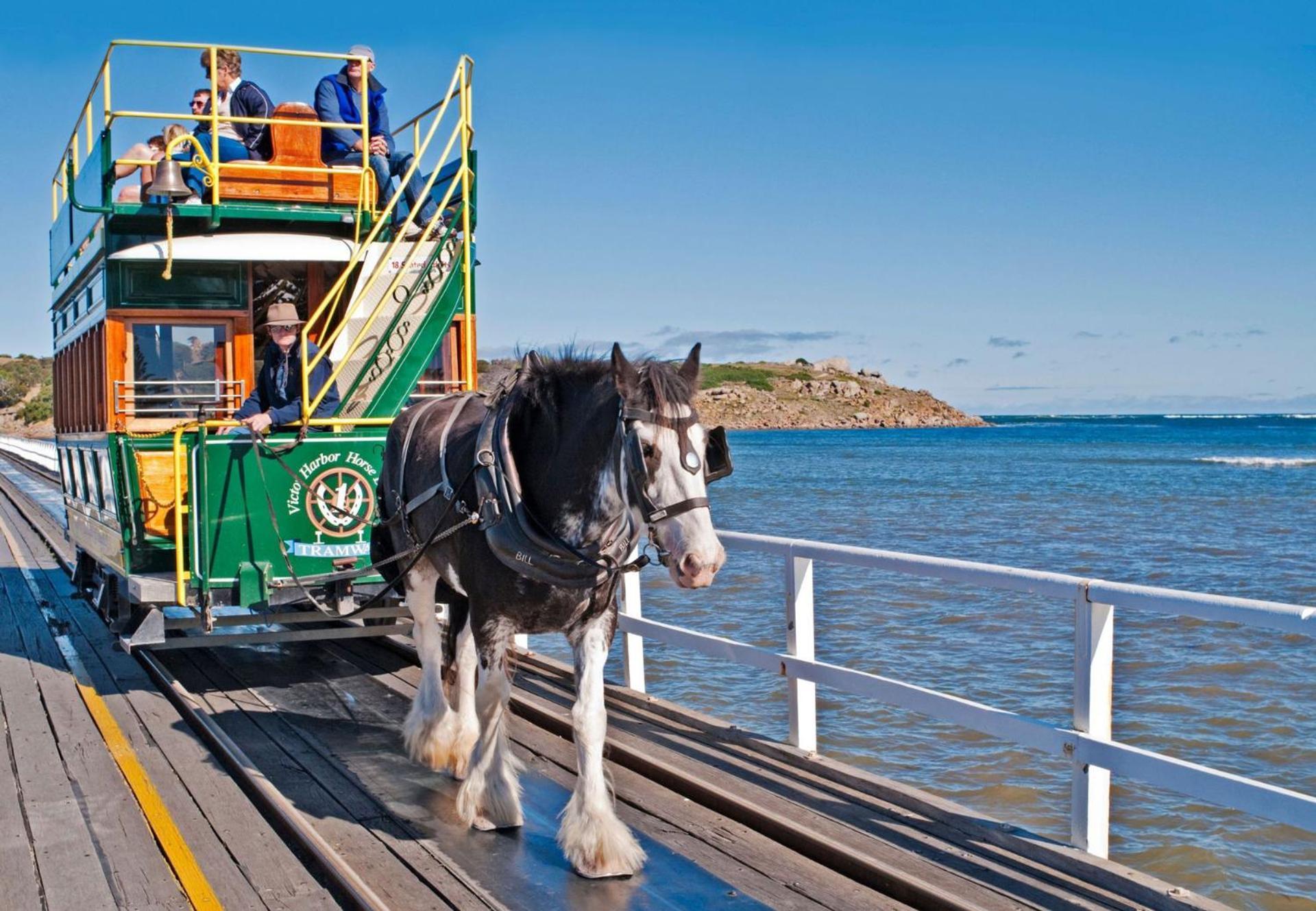 Victor Harbor Holiday Park エクステリア 写真